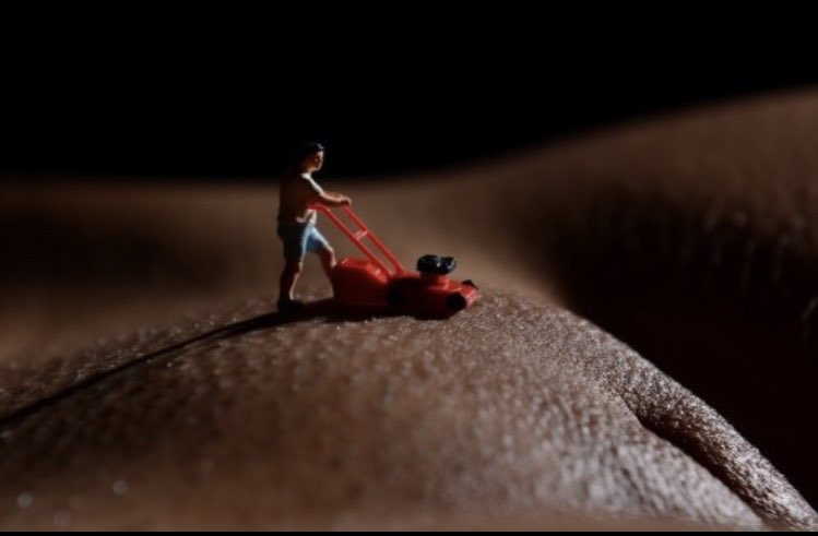 IMG_0653.jpeg IMG_0653.jpeg