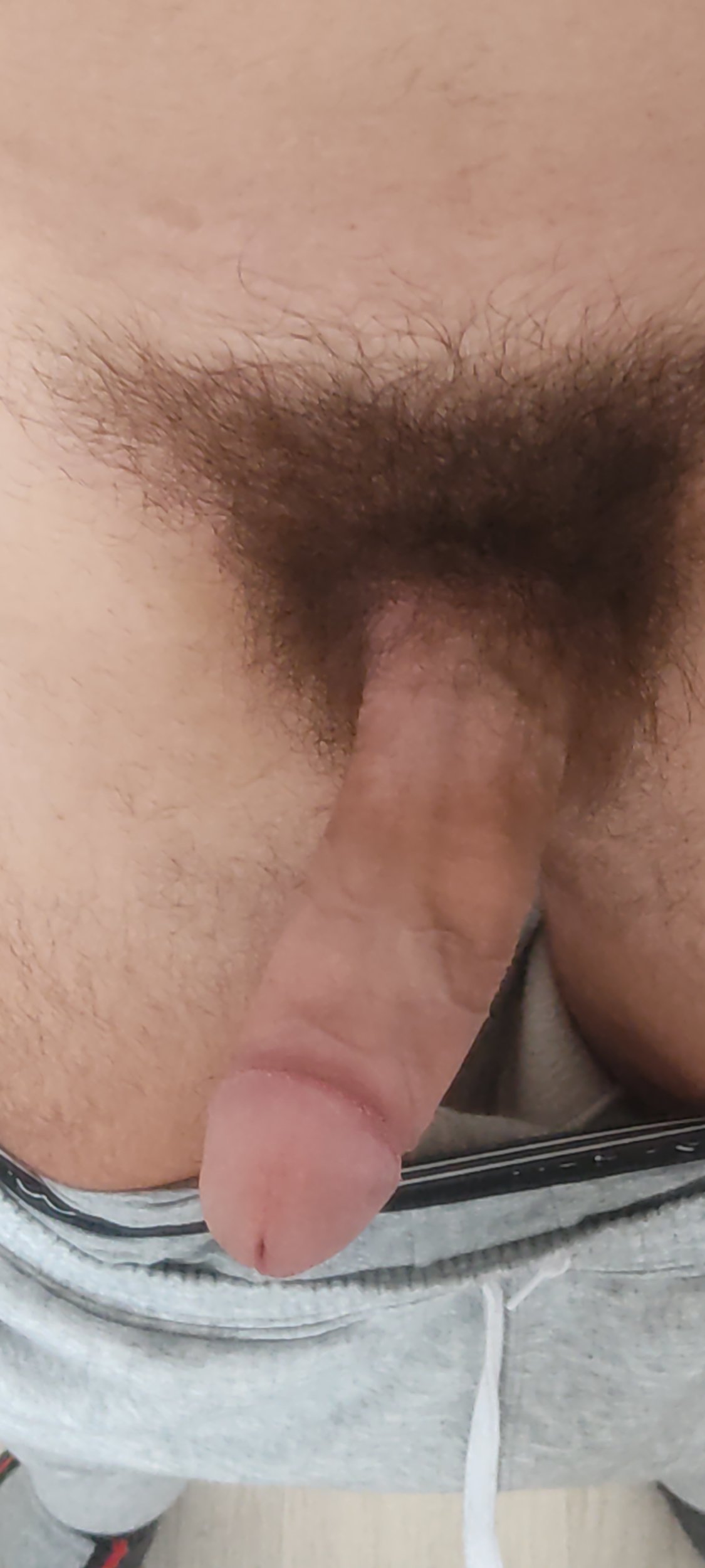 IMG_20231101_131102.jpg