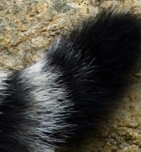 IMG_20231122_231240.jpg IMG_20231122_231240.jpg