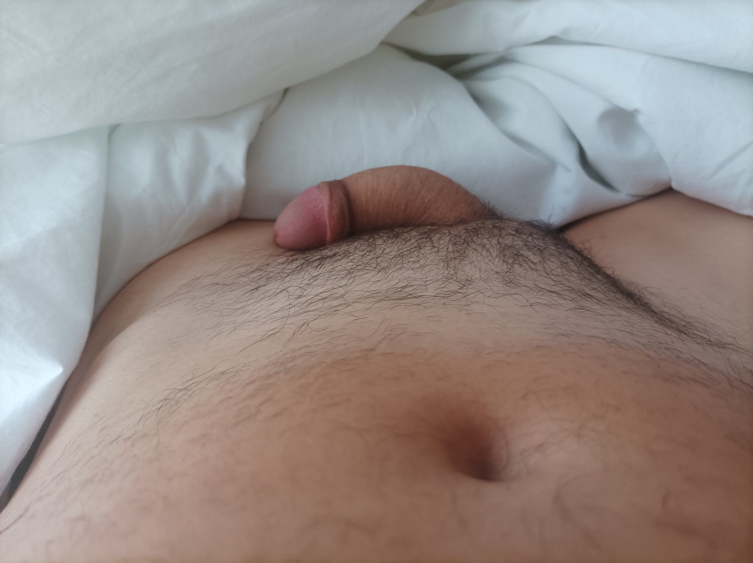 IMG_20231225_143450.jpg IMG_20231225_143450.jpg