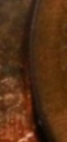 IMG_20240329_201317.jpg