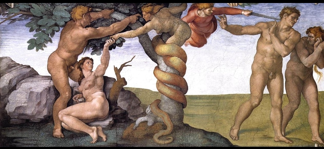 IMG_20240411_191144.jpg IMG_20240411_191144.jpg