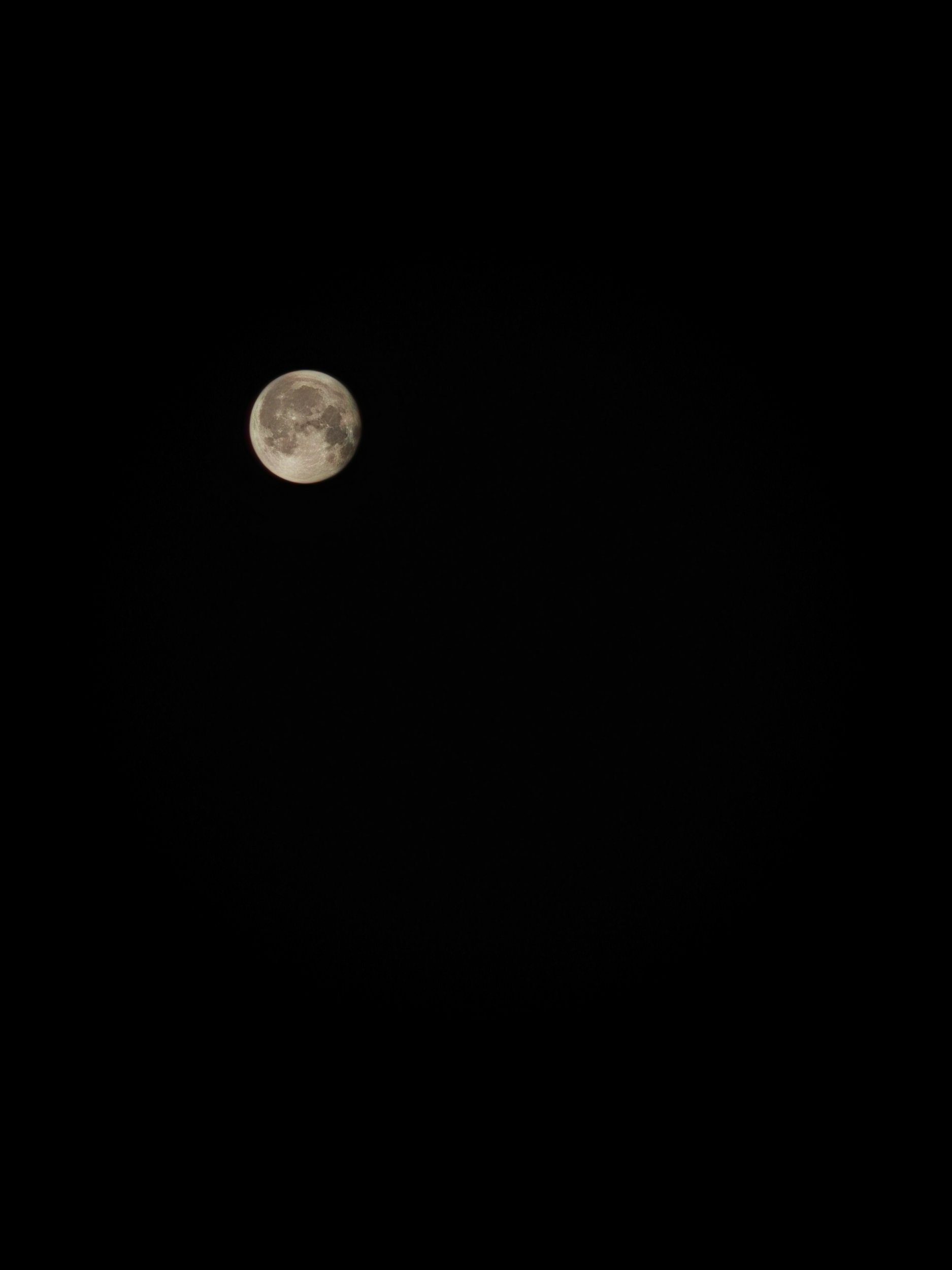 IMG_20250514_060219.jpg