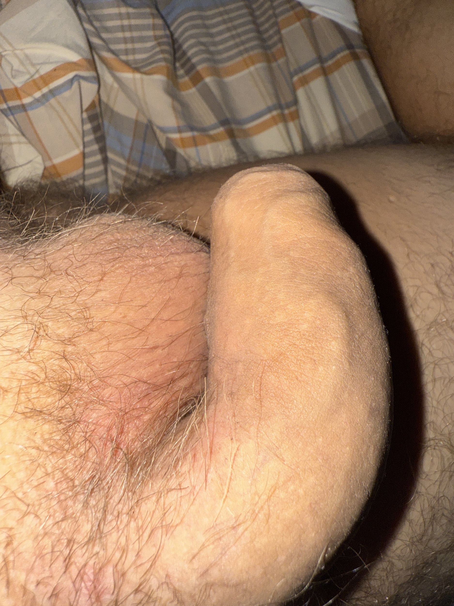 IMG_4320.jpeg
