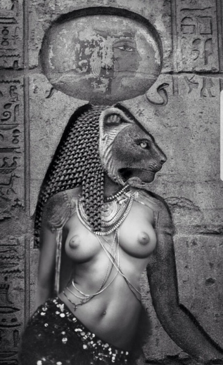 IMG_5419.jpeg IMG_5419.jpeg