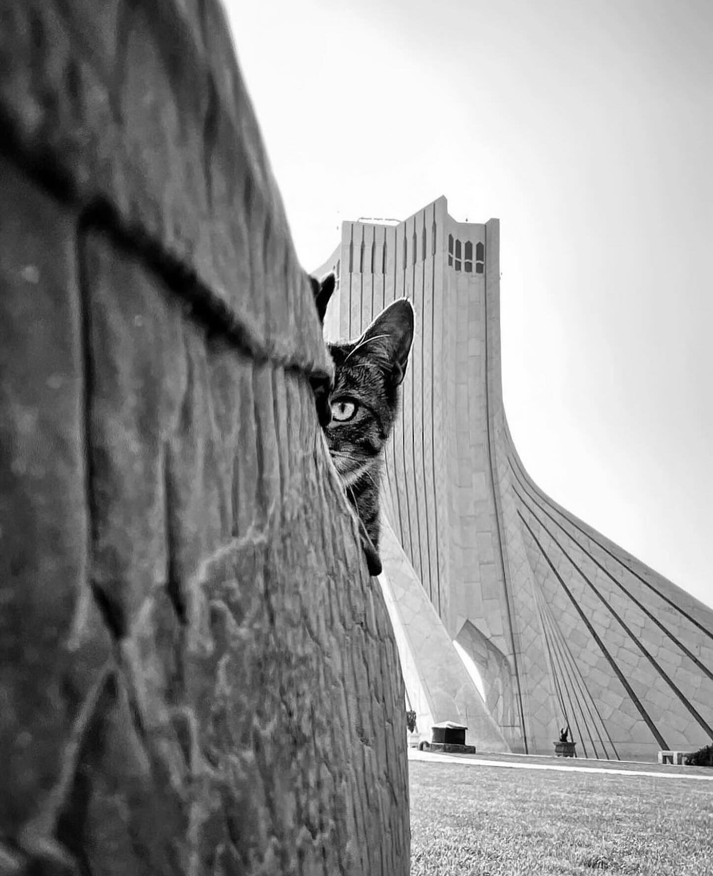 IMG_7897.jpeg