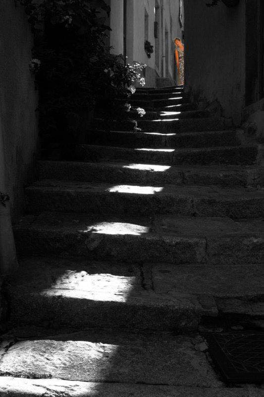 IMG_8148.jpeg