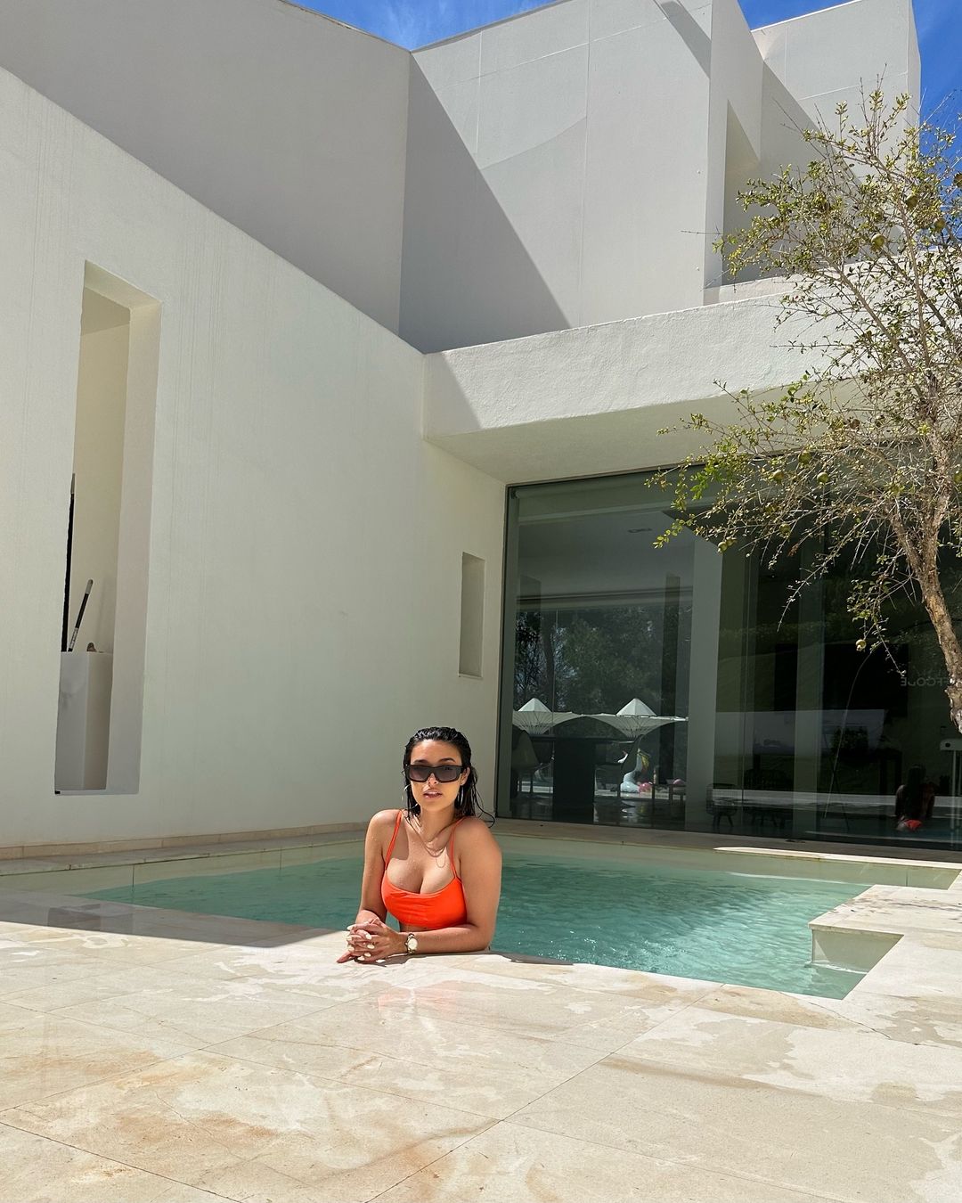 IMG_8395.jpeg IMG_8395.jpeg