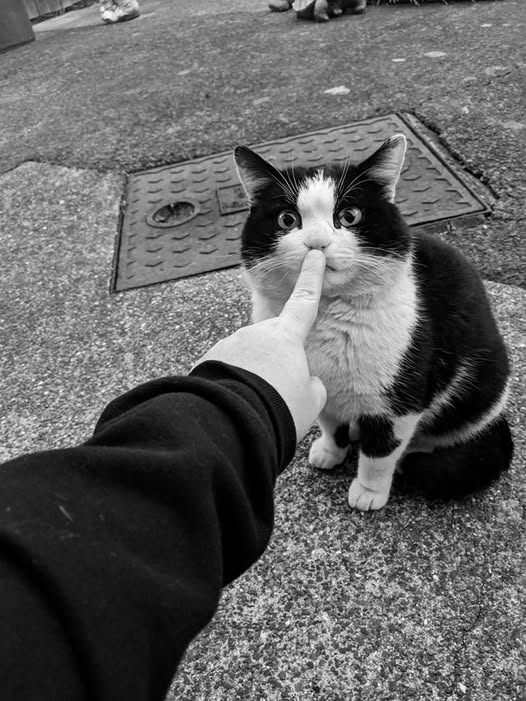 IMG_9032.jpeg