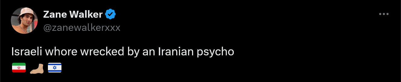 Israeli whore wrecked by an Iranian psycho.png