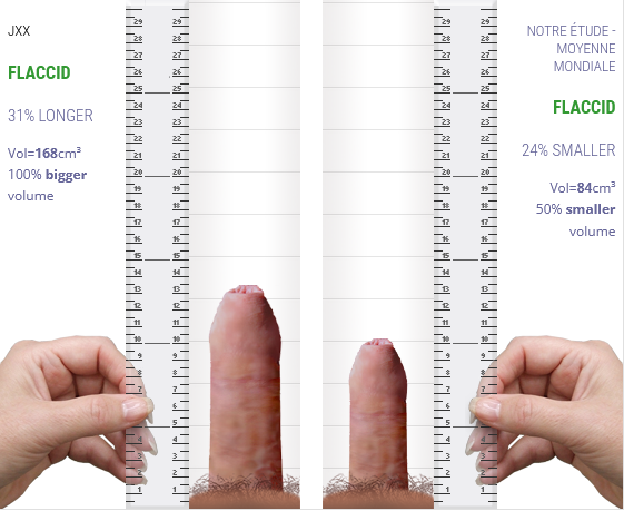 JXX The comparator PenisCompare.png JXX The comparator PenisCompare.png