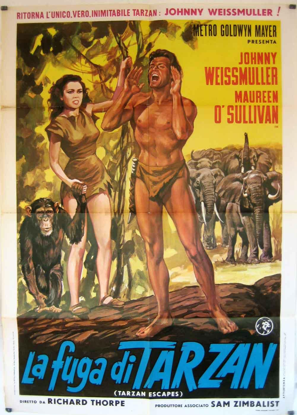 La Fuga de Tarzan (1936).png