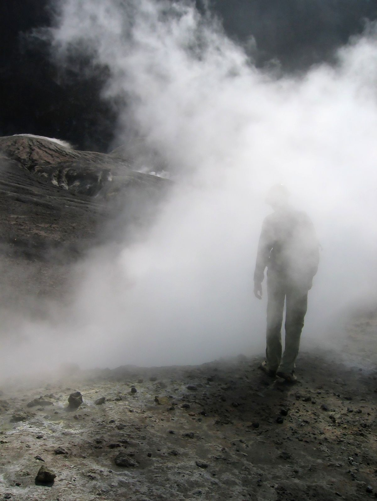 La niebla del olvido.png