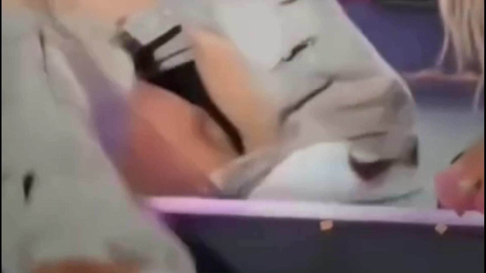 lisa vlcsnap-2025-10-23-13h10m47s323.jpg