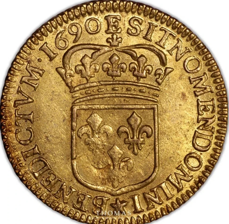 louis-dor-a-lecu-1690-e-tours-louis-xiv-tresor-plozevet-revers-scaled-1024x1024.jpg~2.jpg