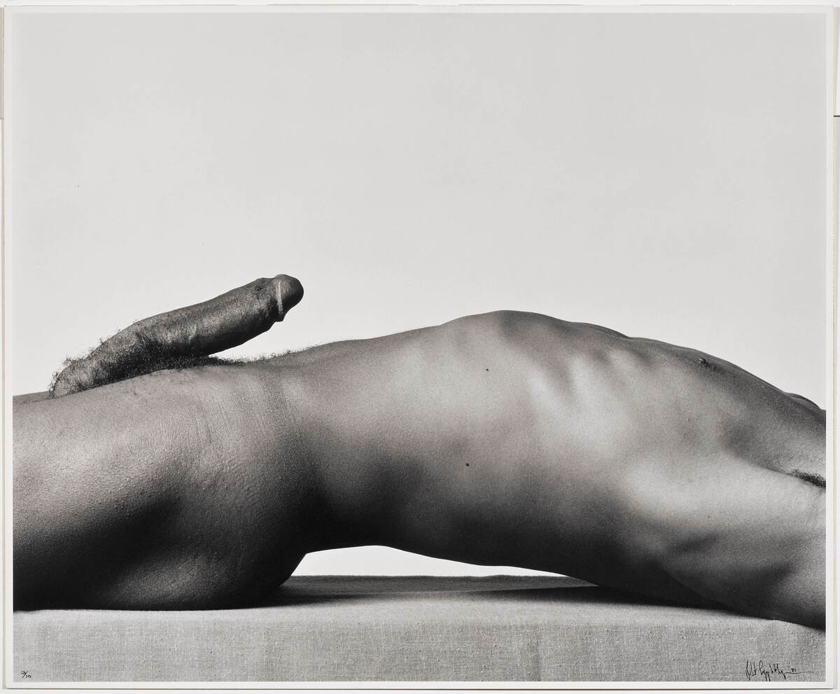 MAPPLETHORPE  Christopher Holly.jpg