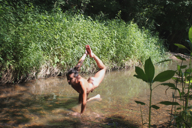 mascuarbol02.jpg mascuarbol02.jpg