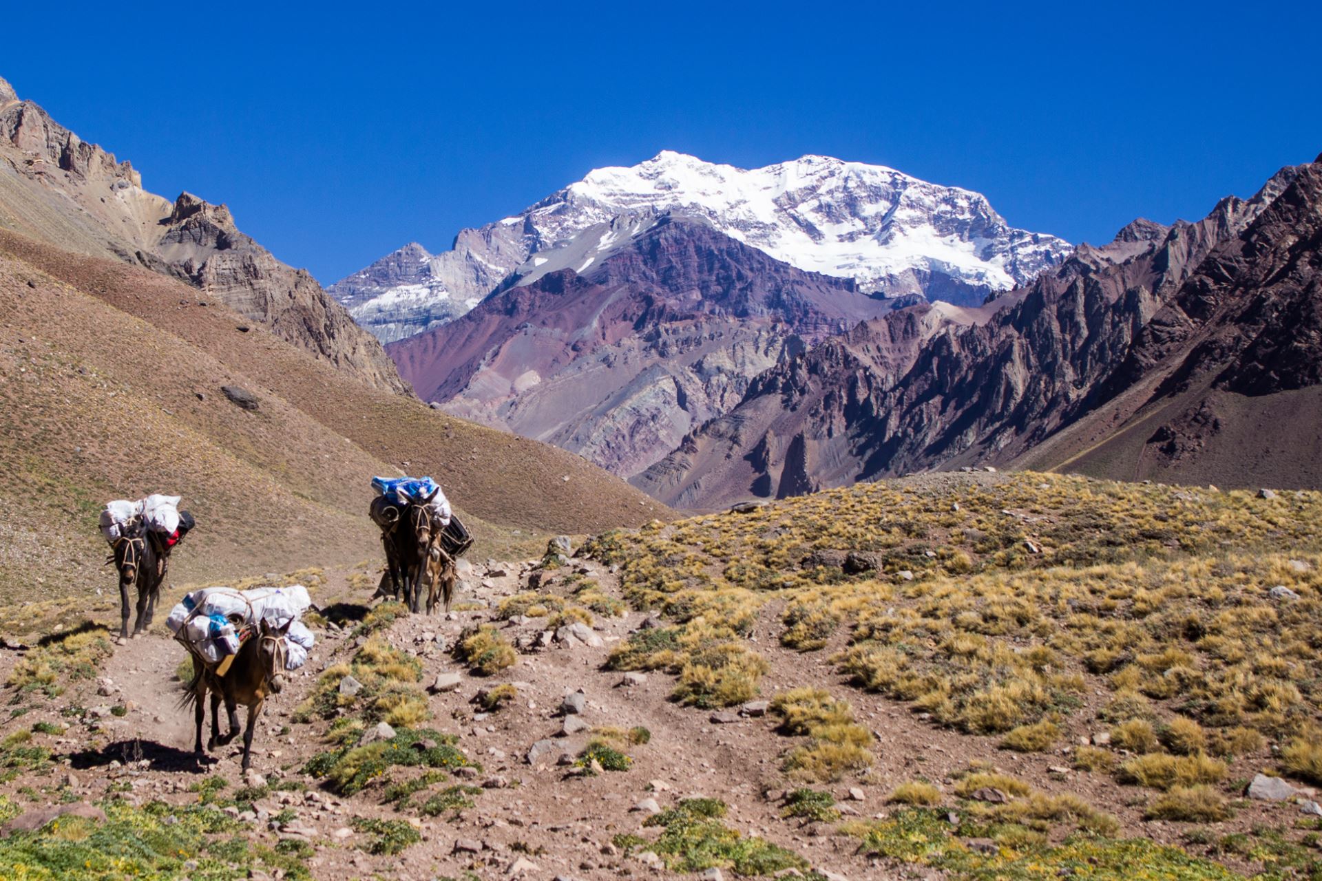 mendoza_0_202103031422230.jpg