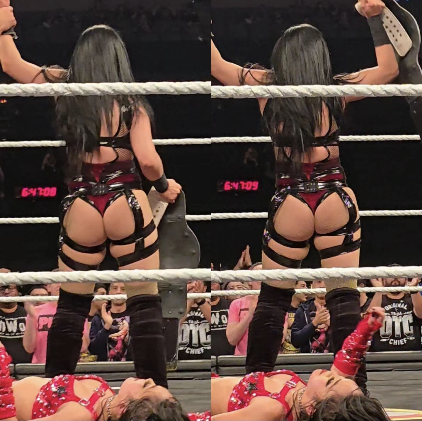 p.1687 stephanie vaquer.jpg