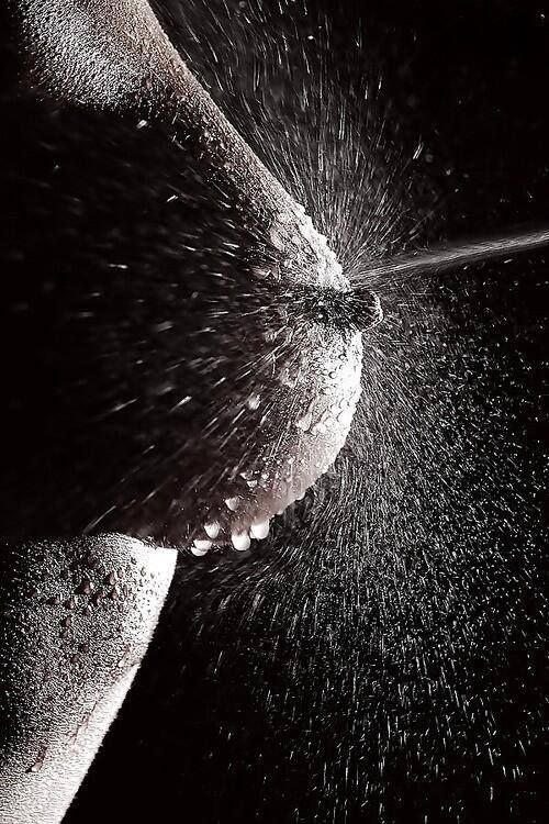 photo_2023-12-12_21-43-24.jpg photo_2023-12-12_21-43-24.jpg