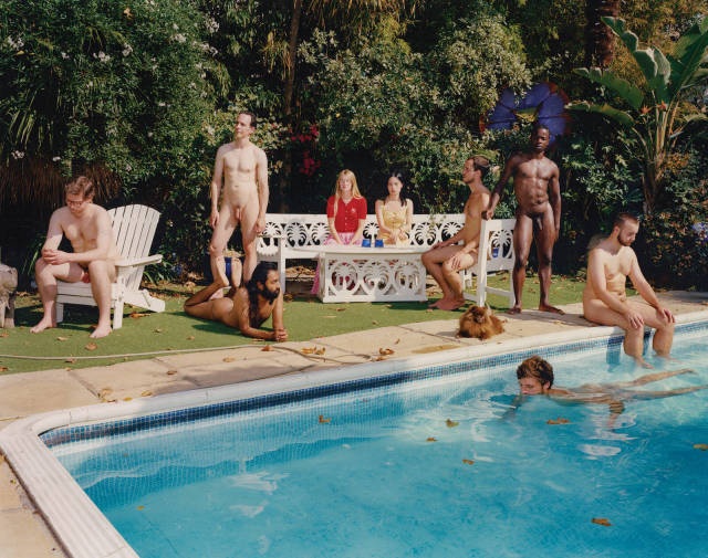 pisci.jpg