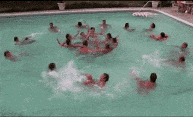 piscibail.gif