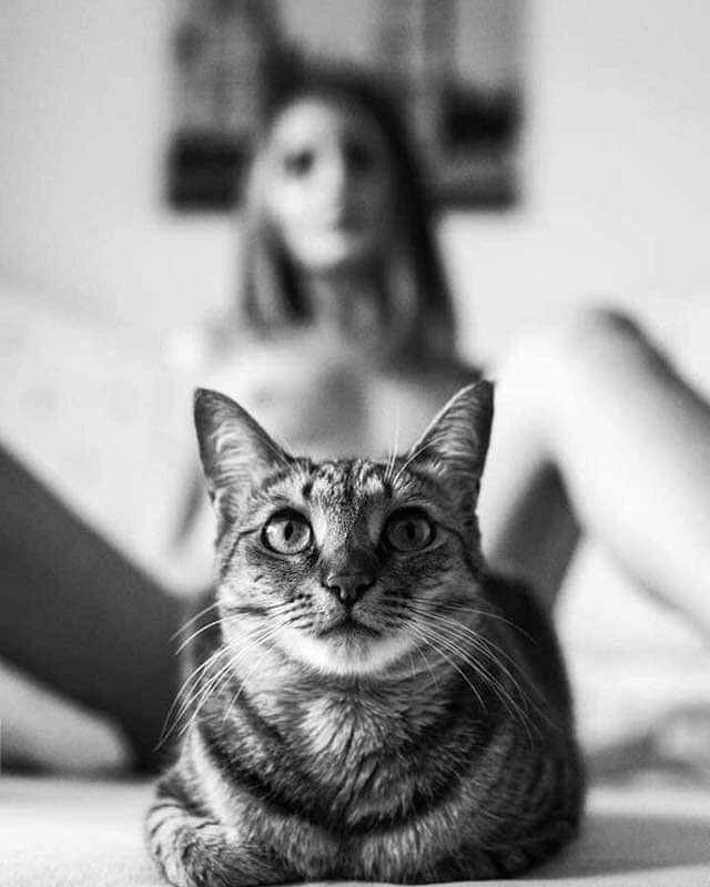 revmasco2.jpg revmasco2.jpg