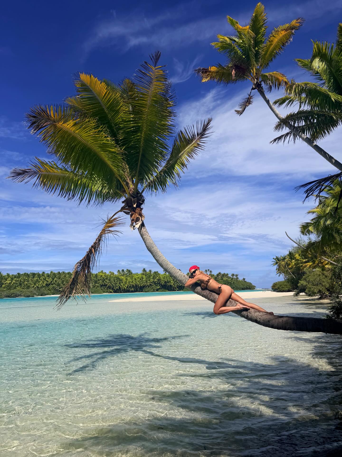 Rita Ora 21803516738869_189379530__3_.jpg