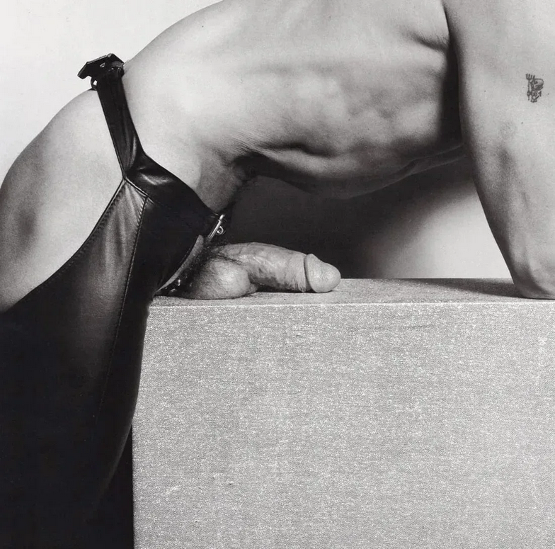 Robert Mapplethorpe Mark Stevens, 1976.png