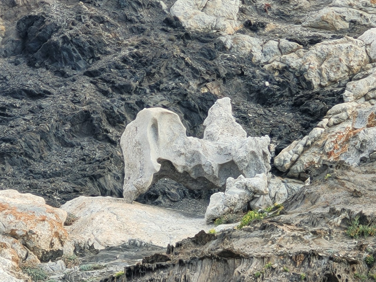 Roca Cavallera inspiraciion Dali - El Gran Masturbador.jpeg