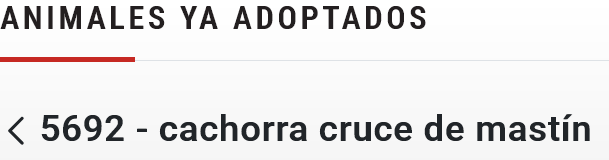 Screenshot 2025-05-28 at 18-32-24 5692 - cachorra cruce de mastín - Ayuntamiento de Burgos - a...png
