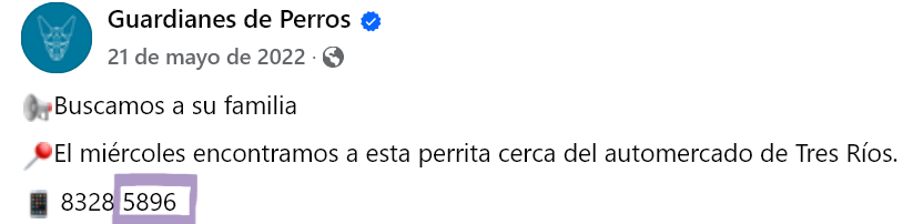 Screenshot 2025-06-13 at 18-29-35 📢Buscamos a su familia 📍El... - Guardianes de Perros Facebook.png