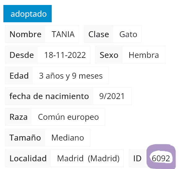 Screenshot 2025-07-03 at 18-50-57 Rivanimal - Adopción de TANIA.png