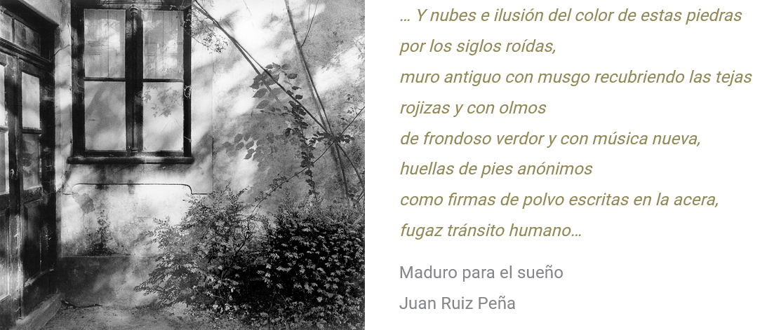 Screenshot 2025-10-14 at 19-15-09 Textos – La poética de la luz – La fotografía de Pilar Pequeño.png