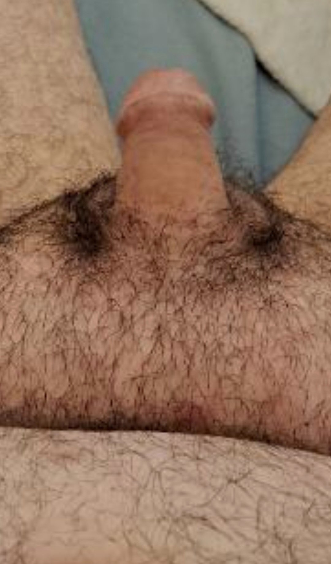 Screenshot_20260131_154343_Samsung Internet.jpg