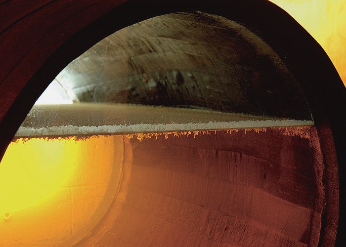 sherrywines-jerez-flor.jpg