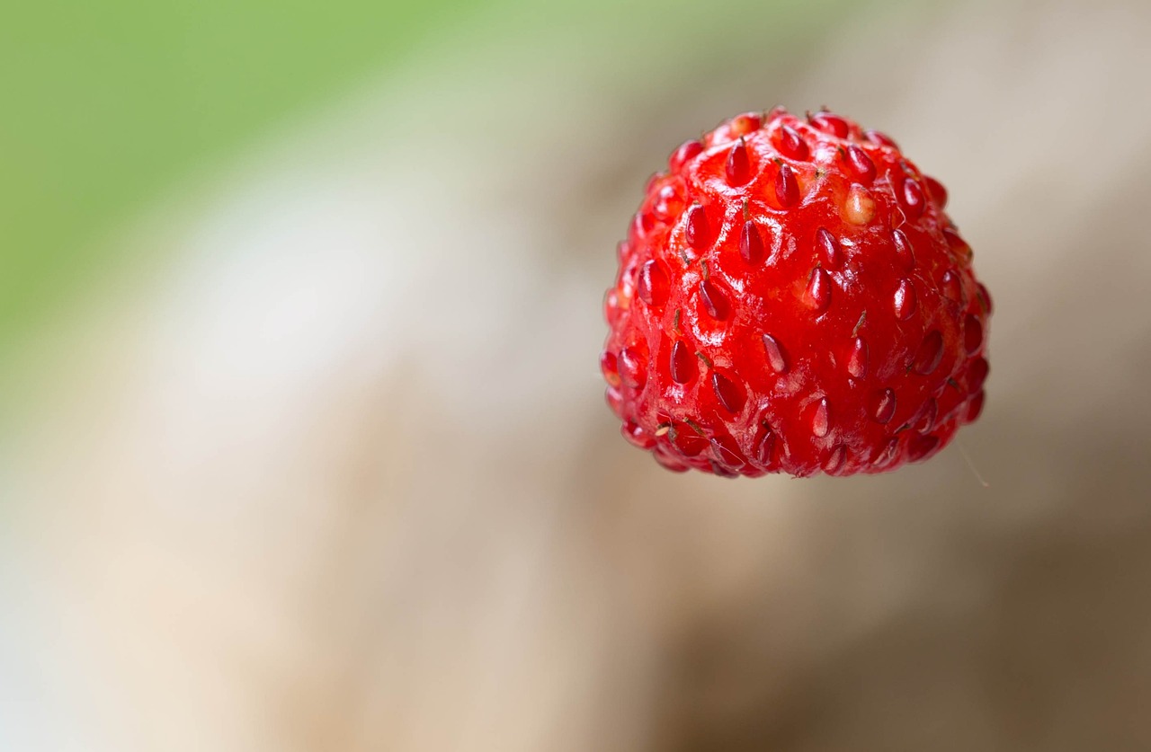 small-wild-strawberry-675868_1280.jpg