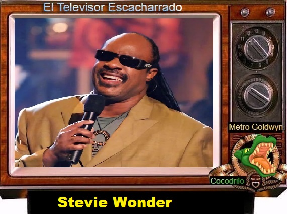 Stevie Wonder,.jpg