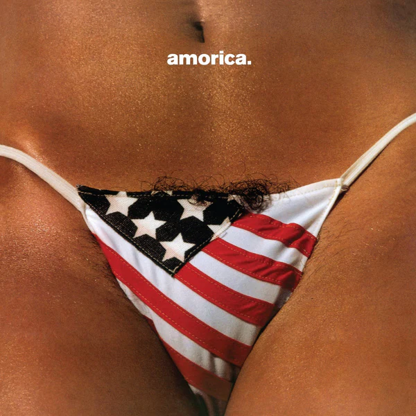 the_black_crowes_cover_2.webp