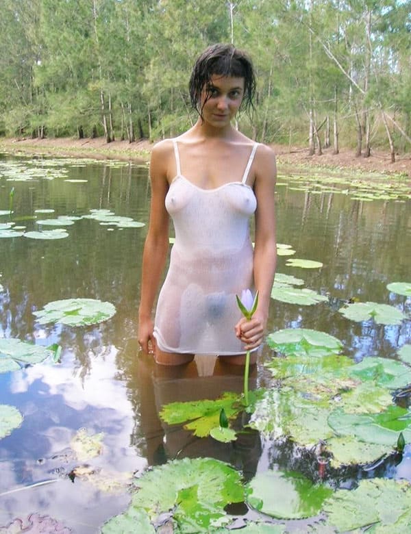 Transparencias (2).jpg