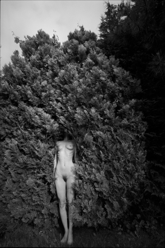 tumblr_8e0b7f75202d8b2268848080863f68ea_83160005_540.jpg
