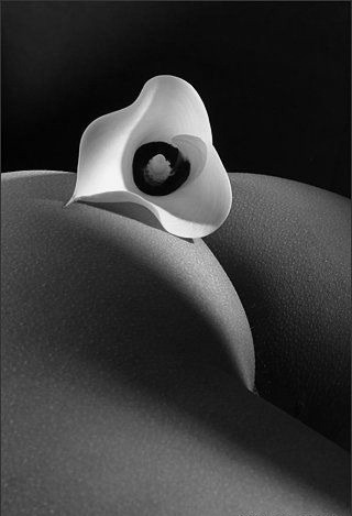 tumblr_b746e21e11b878dfdb2de19cceb84d09_e13304d2_400.jpg