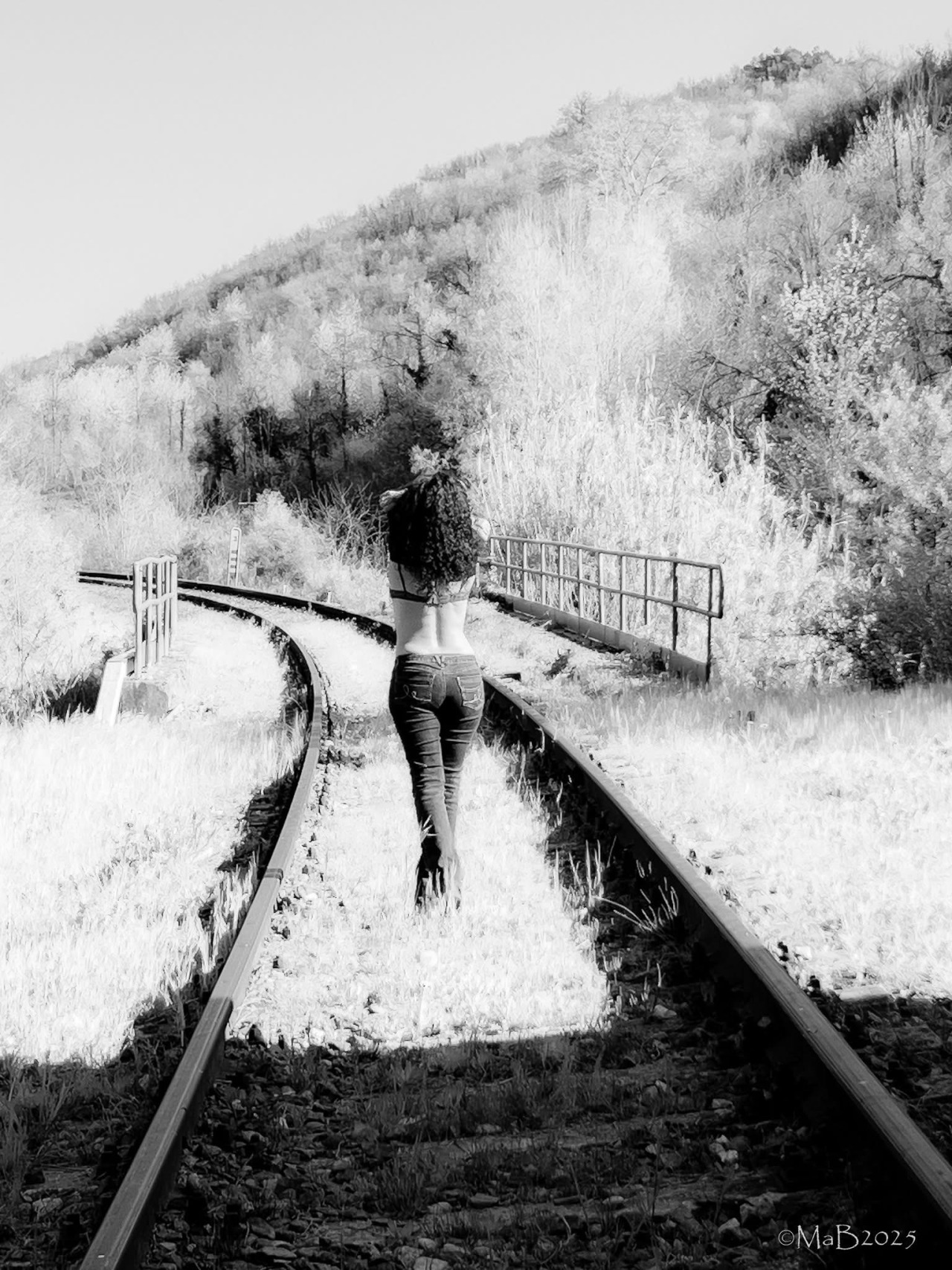 tumblr_de5bc8497a37ab30383fcee7b6c87db7_b1252106_1280.jpg