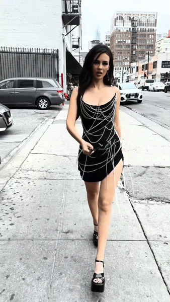V2.gif
