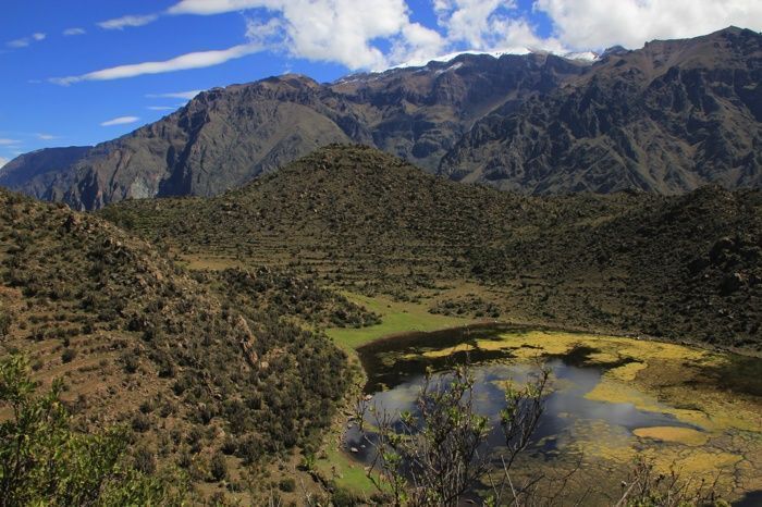 valle-de-colca.jpg