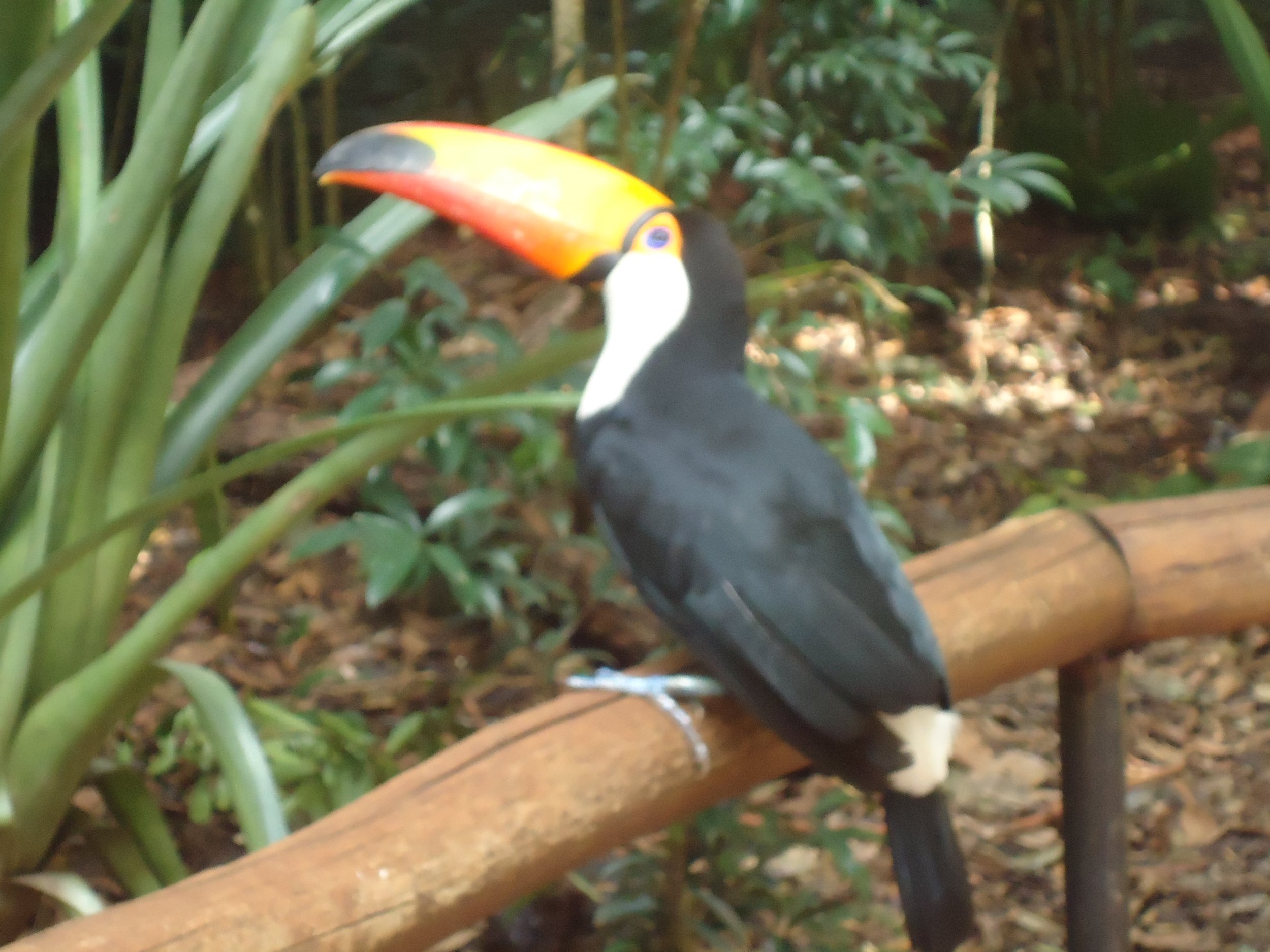 Viaje a Sudamerica 540.JPG