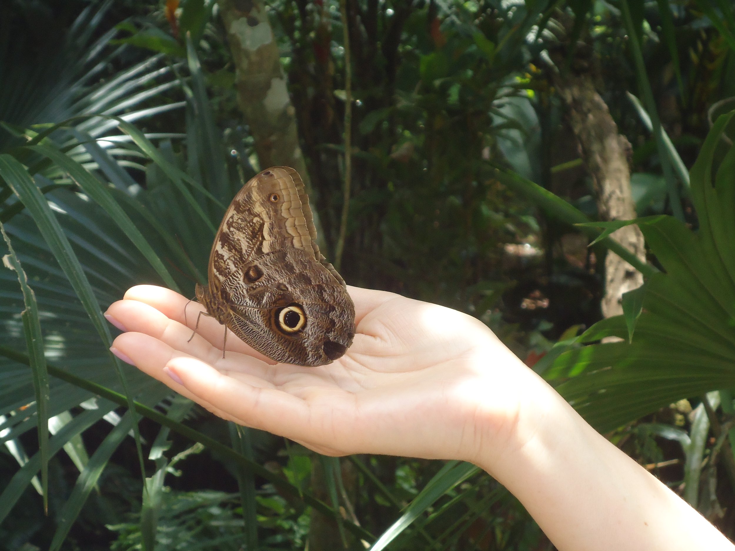 Viaje a Sudamerica 561.JPG