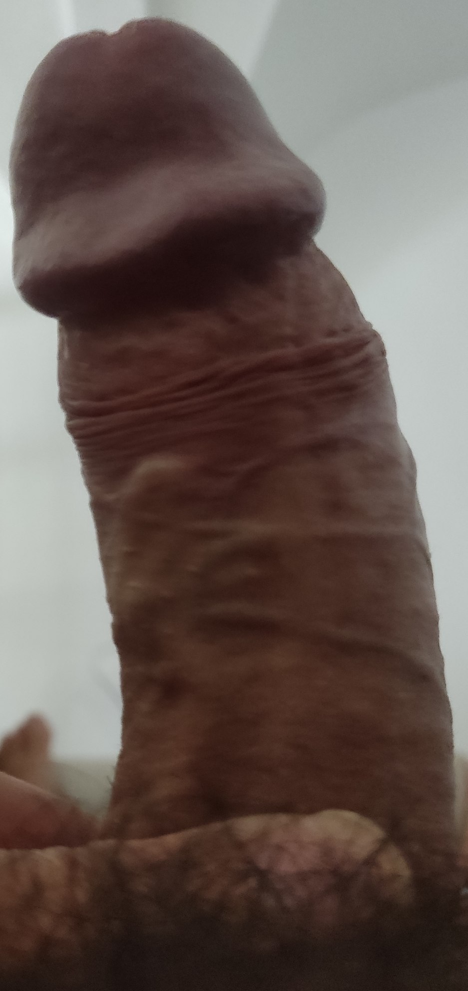 vol.jpg