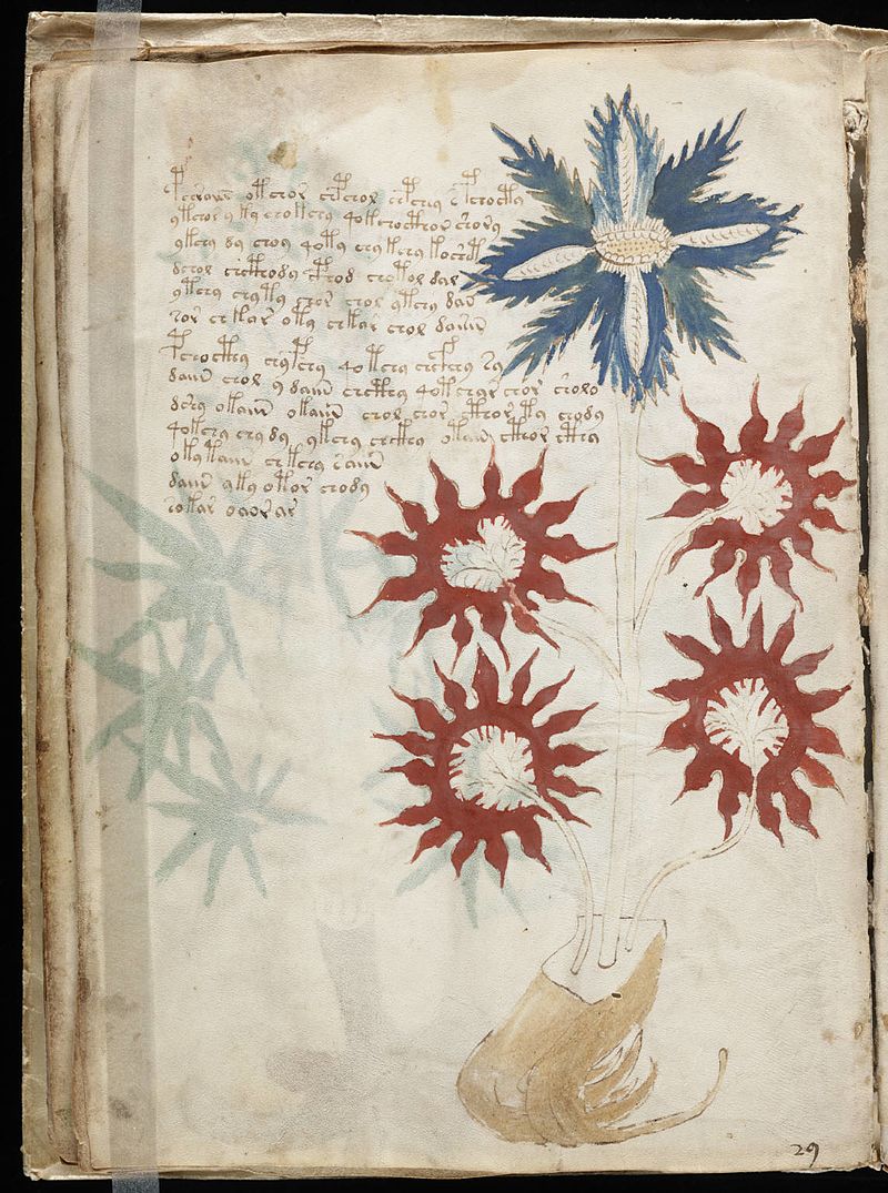 Voynich_Manuscript_(32).jpg