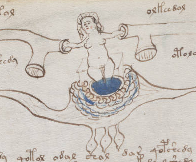 Voynich_manuscript_bathtub_example_77v_cropped.jpg